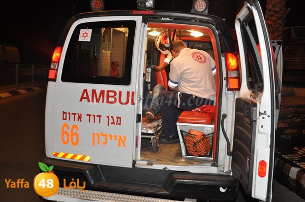 acc 7eshmona2em palmtree (6).JPG